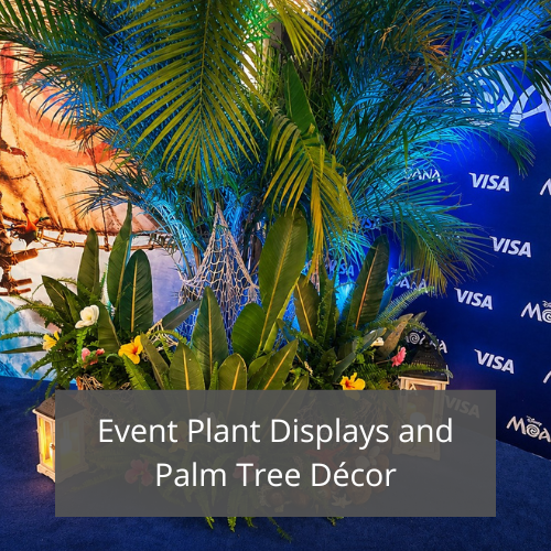 Themed Event Concept & Design 13 Event Plant Displays and Palm Tree Decor