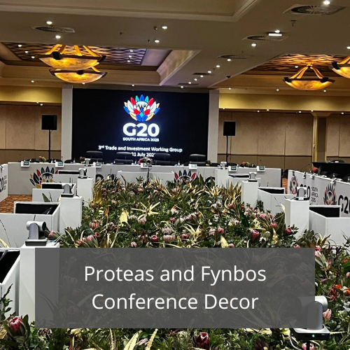 Proteas and Fynbos Conference Decor Proteas and Fynbos Conference Decor