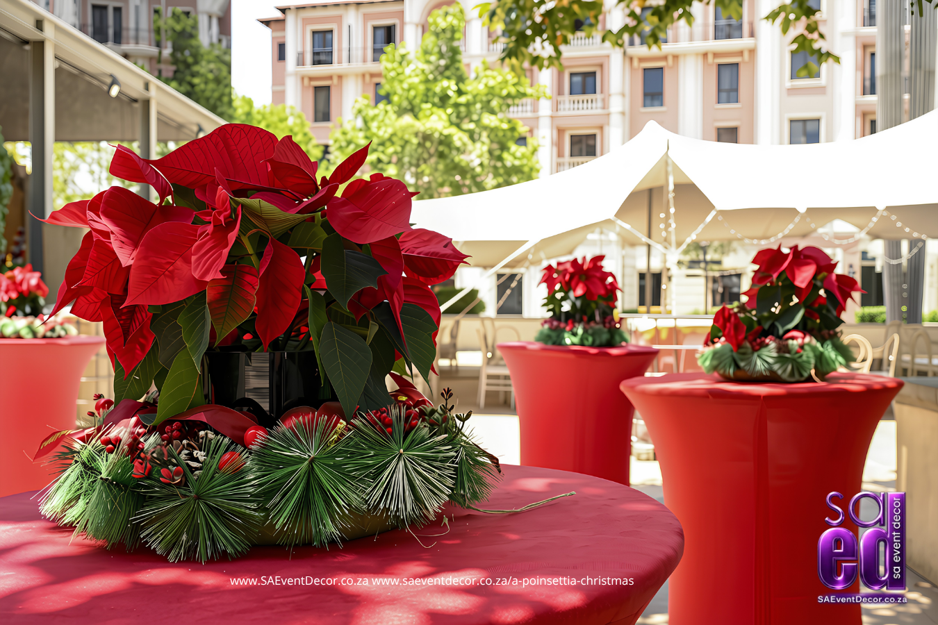Poinsettia centrepiece on hightop tableSA-Event-Decor Gala Dinner Decor Sandton