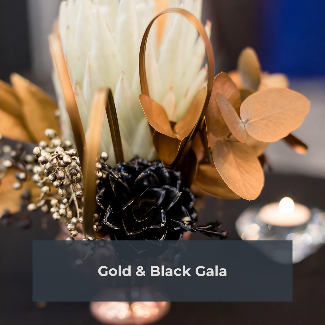 Gold & Black Gala Gold Black Gala
