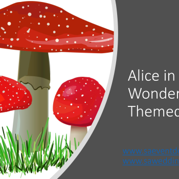 Alice in wonderland 1