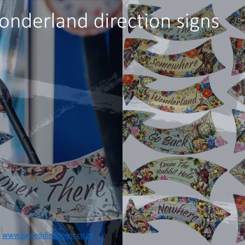 Alice in wonderland 5