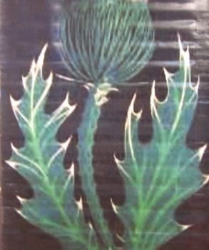 Printed Themed Backdrops 27