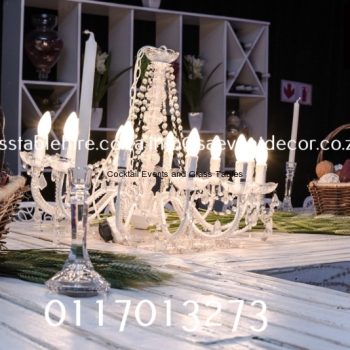 Beer/Wine/Whisky/Champagne Tasting 2 528359369