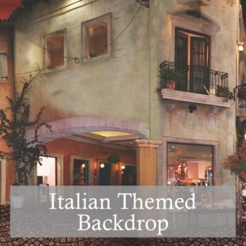 Printed Themed Backdrops 1