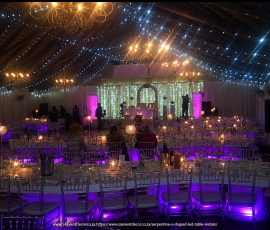 Serpentine S-Shaped LED Table Hire 2