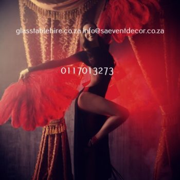 Printed Themed Backdrops 64