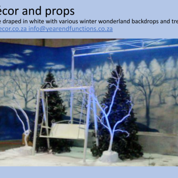 Winter Wonderland 13