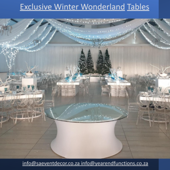 Winter Wonderland 9 3695248550