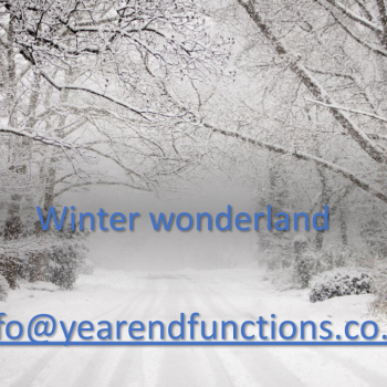 Winter Wonderland 15 324062986