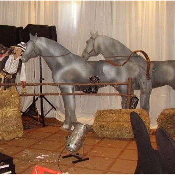 Wild West 13 751475300
