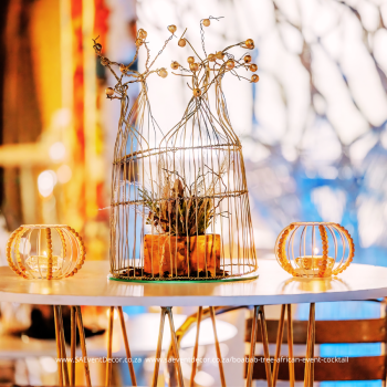 Boabab Tree African Event Cocktail 6 4016639737