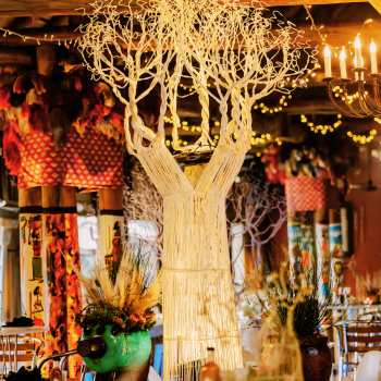 Boabab Tree African Event Cocktail 8 2425965228