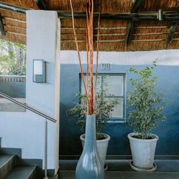 Transformation of Indaba Hotel reception and restaurant 1 1747841988