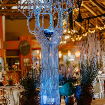 Boabab Tree African Event Cocktail 9