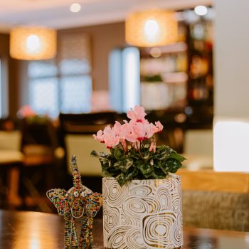 Transformation of Indaba Hotel reception and restaurant 53 225943037