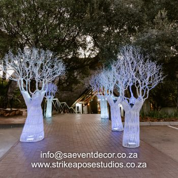 Boabab Tree African Event Cocktail 1