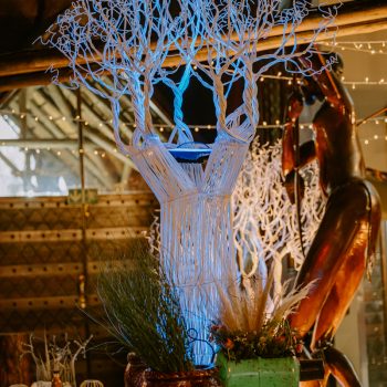 Boabab Tree African Event Cocktail 35