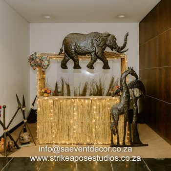 African celebration 11 3590667164
