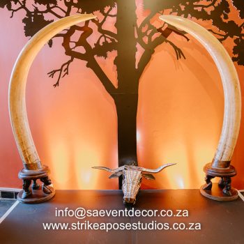 African celebration 29 1078228032