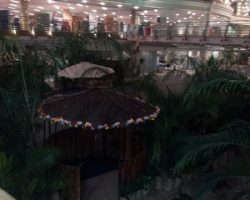 Beach Themed Events 11 2807296216