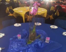 Beach Themed Events 4 2894792075