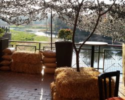 Boot Camp Themed Decor 1 3166420216