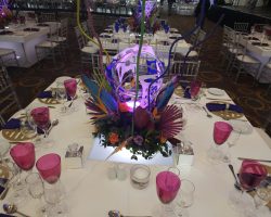 LED Stretch Arty Themed Decor 4 2457962241