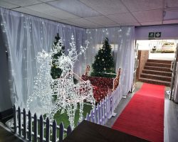 Christmas Function Themed Decor 2 3448953897