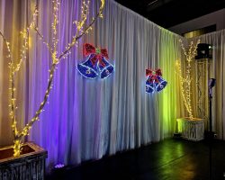Christmas Function Themed Decor 4 3677594869