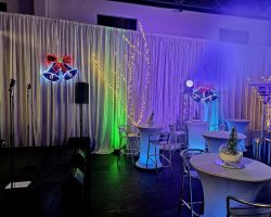 Christmas Function Themed Decor 5 3792734141