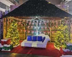 Christmas Function Themed Decor 7 1979420055