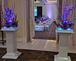 LED Stretch Arty Themed Decor 10 3183715584