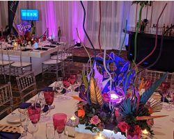 LED Stretch Arty Themed Decor 5 1667412599
