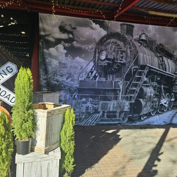 Heavy Haulage Train Themed Event 8