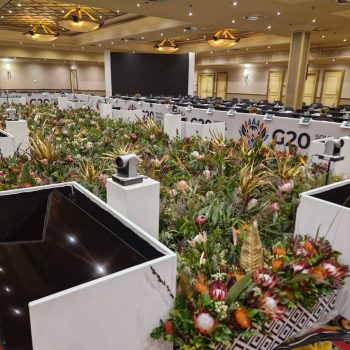Proudly South African Proteas and Fynbos Conference Decor 3