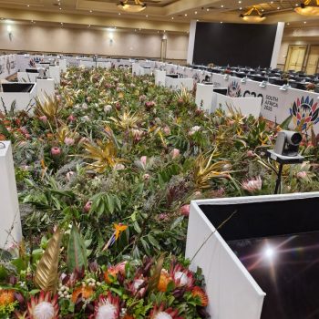 Proudly South African Proteas and Fynbos Conference Decor 4