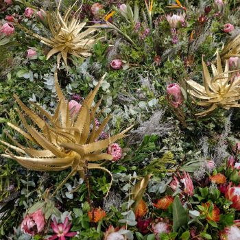 Proudly South African Proteas and Fynbos Conference Decor 5