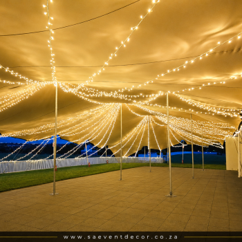 SA Event Decor Enchanted Canopy 6