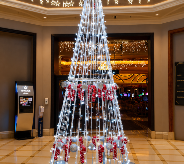 Christmas, Festive Lights & Winter Wonderland Backdrop Hire 7