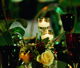 Premier Gala Awards Evening 3 3098492049