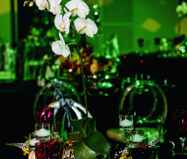 Premier Gala Awards Evening 7 61448043