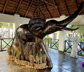 African Safari Decor Transformation 9 3547417267